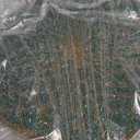 CLEENTABLE Farmhouse Beaded Placemats 13" Round - Decorative Glitz Christmas Beaded Charger Hand Made by Skilled Artisans - A Beautiful Complement to Your Dinner Table Dcor (Green Gold)