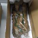 Orchid Valley Lizard, Snake or Reptile Hide. Large Hollow Log for Terrarium. Bearded Dragon or Gecko Tank Accessories. Natural Looking Basking Platform, Axolotl, Python Hideout. (XL-Version 2)
