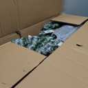 4/5/6 Feet Artificial Christmas Tree Set of 3 with Realistic