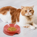 Cat Bowls, Whisker Friendly Cat Food Bowl for Indoor Cats, Reliefs Whisker Fatigue, Wide Pet Bowl, Non Slip Pet Feeding Bowls, Shallow Kitten Dish
