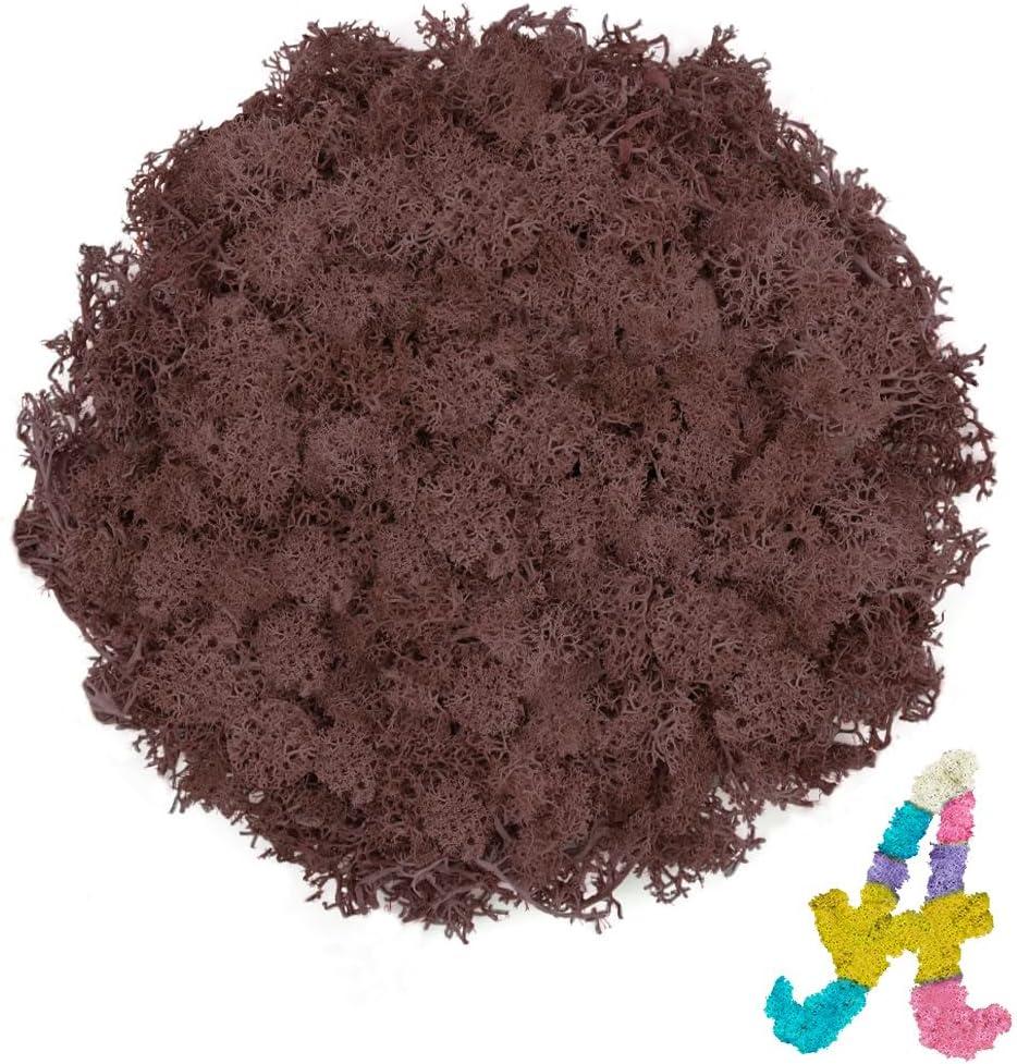 Preserved Reindeer Moss 3.5 OZ Brown Natural for Crafts, DIY Gift Christmas Decor, Wall Art, Potted Plants, Floral Fake Moss for Easter Table Decor Wedding Decorative(3.5 OZ, Brown)