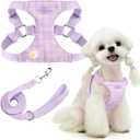PETCARE Cute Small Dog Harness and Leash Set Purple Floral Daisy Puppy Harness Vest Adjustable Step in Spring Summer Soft Mesh Flower Girl Dog Harnesses for Chihuahua Yorkie Pomeranian Shih Tzu, M