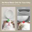 WOPET Wireless Cat Water Fountain, Cordless Ceramic Pet Water Fountain with 5000mAh Rechargeable Battery, 3L/101oz Premium Cat Water Dispenser for Cats & Small Dogs,Ultra Quiet & Triple Filtration
