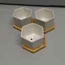 Small White Succulent Planter Pots with Bamboo Tray Hexagon Set of 3
