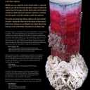 Ikons of the Mineral World: Nature's Finest Art