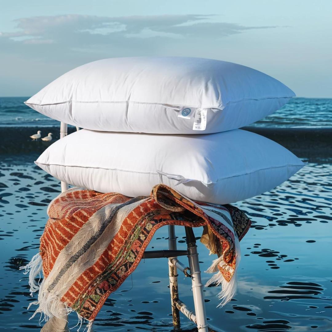 Shilucheng Canadian Goose Down Pillows Queen Size Set of 2, 900+ Fill Power Side Sleeper Pillow for Sleeping Neck Pain Relief, 100% Cotton Shell 600 Thread Count Hotel Quality Pillows (White, 20" x 30"）