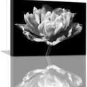 Black and White Wall Art - Modern Wall Decor Bathroom Artwork for Home Wall Floral Painting Wall Art Wall Decor for Bathroom Wall Art for Women Kitchen Pictures Black and White Decor Framed 12x16inch