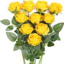 JUSTOYOU 10Pcs Artificial Roses Flowers, Realistic Blossom Roses, Real Touch Silk Rose, Single Fake Flower Long Stem Bouquets for Home Wedding Party Decoration (Yellow)