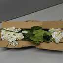 4pcs Fake Flower Artificial Geranium,Artificial Flowers for Outdoors, White Geraniums Artificial Flowers Realistic,Artificial Geraniums for Outdoors Fake Plant Decoration14.4 (White)