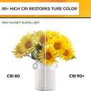 Hizashi E12 Candelabra Bulb 40 Watt 90+CRI LED Chandelier Light Bulb Dimmable, B10 LED Candelabra Light Bulbs, 4W, 450LM 2700K Warm White, Candle Light Bulbs, UL Listed, 24 Pack