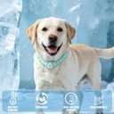 EXPAWLORER Dog Cooling Bandana 2 Pack - PCM Physical Instant Cooling Dog Scarf, Chill Out Pet Cool Bandanas Summer Ice Neck Cooler Kerchief Vest for Small Medium Large Dogs, Blue & Green M