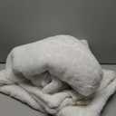 Bedsure GentleSoft Fluffy White Blankets Queen Size for Bed, Thick Sherpa Faux Fur Fleece Fuzzy Plush Winter Warm Heavy Soft Queen Blankets, Bedroom Decor White Gifts Cozy Gifts for Women Men, 90x90