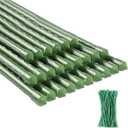 48 inch Garden Stakes 4ft 25 Pack Tomato Stakes Plant Sticks with 100 Ties