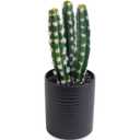 SEEKO Succulents Fake Cactus (10.5') - Realistic Cactus Plant Decor for Dorm, Desk, Shelf or Office (Black Pot)