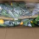 Jexine 2 Pack Artificial Lemon Tree 4 ft Tall Fake Plant Pre Potted Faux Lemon Tree Realistic Fruits for Indoor Home Decor Office Living Room