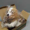 Bearington Sadie Cavalier King Charles Spaniel Plush Stuffed Animal Puppy Dog, 13 inch, for Ages 3-14