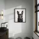 2 x Belgian Malinois Funny Bathroom Unframed Wall Art Print Poster, Dog Pet Lover Picture Painting Artwork Bedroom Living Room Office Dining Room 150B (Belgian Malinois Funny Bathroom, 20"L x 16"W, Unframed)