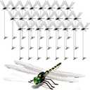 24 Pack 3D Dragonfly Clips, Fake Dragonflies with Stakes, Realistic Plastic Dragonfly Garden Decorations, Fly Deterrent Clips for Hats, Pets, Horses, Deer, Yard, Patio, Indoor & Outdoor Decor