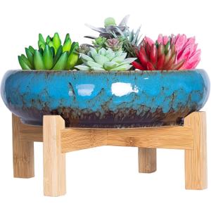 Succulent Pots - Large Succulent Planters Pots with Drainage, 10 Inch Ceramic Bonsai Pot with Stand Round Shallow Planter for Indoor/Outdoor Plants Decorative Garden Cactus Flower Container Bowl