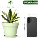 WSMKSZ 4 Inch Plastic Plant Pots with Drainage Holes and Trays 8 Pack Small Nursery Pots for Indoor & Outdoor House Plants and Flowers, Seedling Starter Planters, Colorful, 4in 8pcs