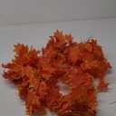 14pcs Fall Leaves Garland Hanging Vines Decoration 98ft Artificial Maple Leaf Ivy Vine Hanging for Thanksgiving Decor Autumn Halloween for Home Wedding Garden Festival Party Decoration