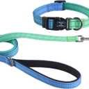 Roses&Poetry Bluegreen Small Dog Collar and Leash Set, Puppy Reflective Leashes with Collars, Adjustable Durable Matching Collar Leash for Small Dogs Girl (Bluegreen-S)