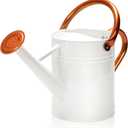 Metal Watering Can with Removable Spout, Galvanized Watering Can, Perfect for Indoor Use and for Outdoor Use (1 Gallon, White)