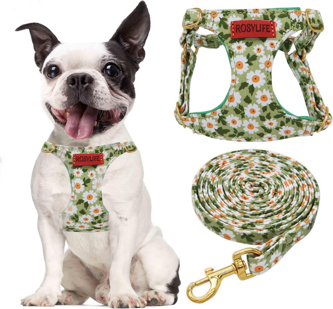 No Pull Dog Harness Adjustable Small Dog Harness and Leash Set, Lightweight and Soft Dog Harness No Choke Escape Proof Pet Harness Vest (Green Daisy, S)