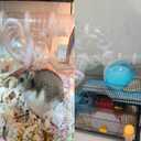 Tfwadmx Hamster Tube Toy DIY Assorted Small Cage Toys Pipe Tunnel Excercise for Rat Mouse Dwarf and Other Small Animals-White