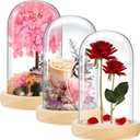 3 Pieces 8 x 4.7in Glass Cloche Display Dome, Decorative Glass Bell Jar with Solid Wood Base, Clear Cloche Dome Display Case for Home Decor, Craft, Plants, Light