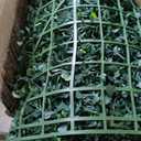 Artificial Ivy Privacy Fence Wall Screen: 6FT X 12FT (72 sqft) UV-Anti Faux Boxwood Roll Panels Greenery Backdrop Ivy Vine Leaf Hedges Fence Panels for Indoor Outdoor Green Decor