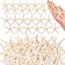 24 Pcs Starfish for Crafts, 2'' to 4'' Star Fish Shells Decorations, Natural Starfish Decor Bulk for Beach Theme DIY Crafts Christmas Tree Ornaments
