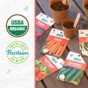 Back to the Roots Organic Vegetable Seeds Variety (5-Pack)