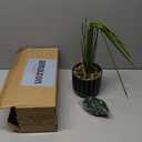 Der Rose 28'' Fake Plants Tall Artificial Monstera Faux Plants Indoor for Living Room Home House Decor