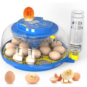 Incubator for Hatching Eggs-18 Egg Incubator with Automatic Egg Turning and Humidity Control 360View Incubadora De Huevos,Ducks,Goose,Pigeon,Quail Incubator for Home,Farm,Lab,Science Classroom