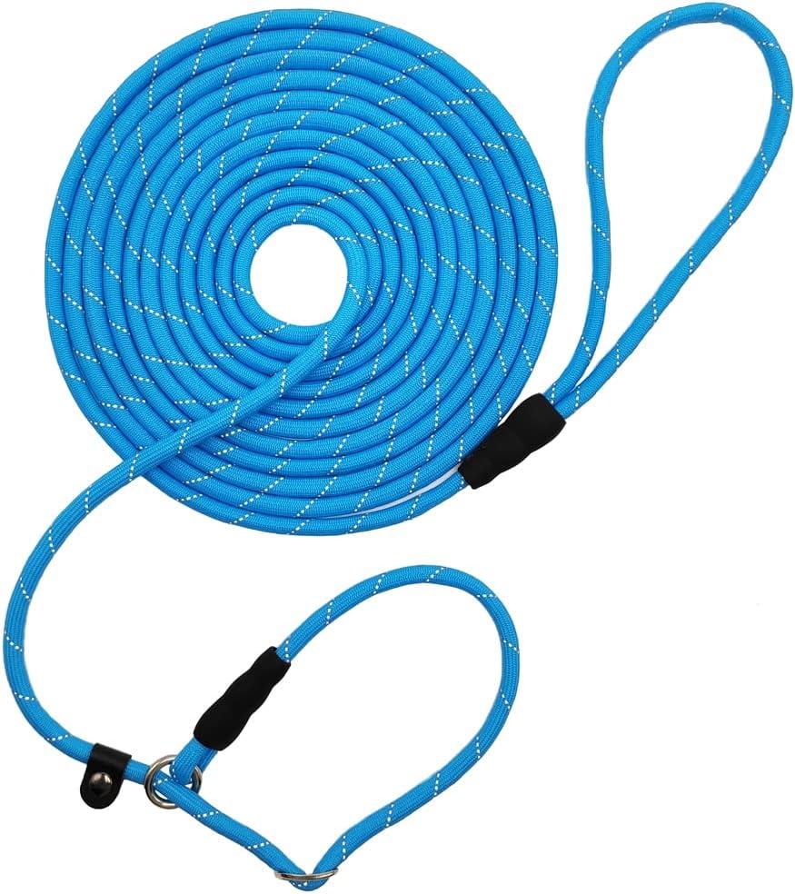 BTINESFUL Slip Lead Dog Leash, Reflective 1/3 Rope Leash Long Training Lead for Small Medium Dogs (blue,Size: 10ft * 1/3")
