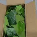 Mkono Fake Hanging Plants with Ceramic Pot, 25" Artificial Plants for Home Decor Indoor Faux Green Leaf Plant with Modern White Planter for Desk Shelf Bathroom Decoration (Pothos)