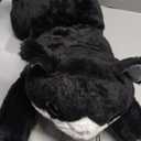 23.6" & 4.5 lbs Black Cat Weighted Stuffed Animal, Cuddly & Soft Kids' Plush Toy Pillows for Companion, Large Plushies with Removable Ceramsite Bag, Gifts for Adults, Kids, Boys and Girl