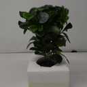 Artificial Potted Plant Leaves, 16.9" Artificial Shrubs Plants Arrangements Fake Eucalyptus Leaves with Vase Faux Greenery Leaves for Home Garden Table Centrepieces Garden Dcor