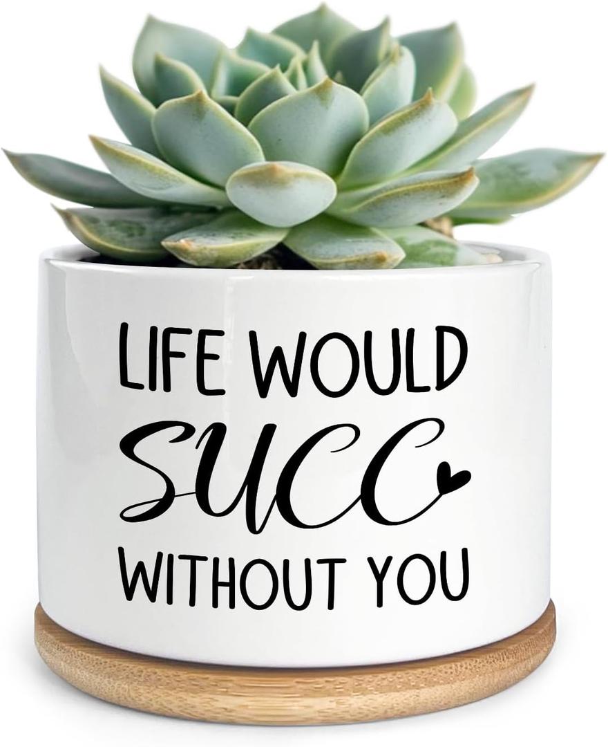 Funny Life Would SUCC Without You Ceramic Succulent Planter Cactus Pots, Office Windowsill Decor Indoor, Succulent Pots for Women Plant Lovers, 3.5 inch (Plant Not Included)