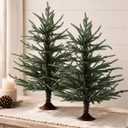 2 Pack 2 ft Tabletop Norfolk Pine Christmas Trees with Vintage Base