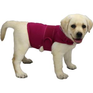 Comfort Dog Anxiety Relief Coat, Dog Anxiety Calming Vest Wrap for Thunderstorm,Travel,4th of July Fireworks,Vet Visits,Separation Anxiety Relief for Dogs (S, Rose)