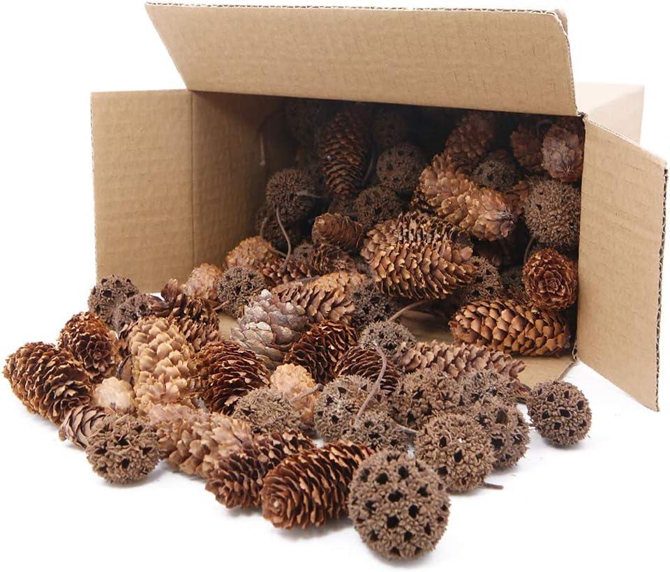 Apol Total 200 Pcs Natural Mini Pinecones Maple Fruit Ornament Set for Vase Fillers Photo Props DIY Home House Christmas Decoration Craft
