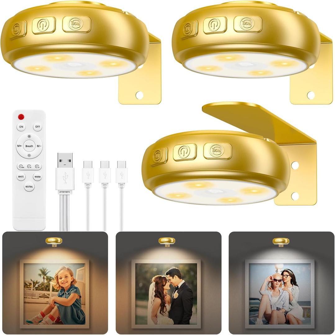 3 Pack Picture Light for Wall with 1200mAh Rechargeable Battery Operated Lights Remote Dimmable Timer Painting Light Magnetic 3 Adjustable Lighting RGB Modes Wall Decor Lights for Living(Gold)