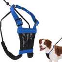 Sporn Mesh Non Pull Dog Harness Medium Blue, Perfect for Training-Stops Dogs from Pulling and Choking on Walks for Small, Medium and Large Dogs, Puppy Harness, No Pull Harness, No Choke Harness