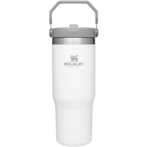 Stanley IceFlow Flip Straw Tumbler with Handle 30 oz | Twist On Lid and Flip Up Straw | Leak Resistant Water Bottle | Insulated Stainless Steel |BPA-Free | Polar