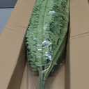 FOREST PRINCE 50" Artificial Boston Ferns, Fake Bush Plants, Large Faux Ferns with 96 Fronds for Outdoors Home Decor