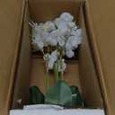 HUIANER Artificial Phalaenopsis Flowers 8 Pcs, 15 Fake Silk Orchids with Stem Leaves for Valentine's Day Home Office Wedding Party Dcor (White)