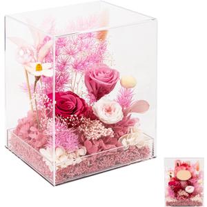 Rosaura Acrylic Display Case Compatible with Labubu POP MART Doll, Clear Storage Box Shelf for Collectibles, 3.5" Figure Spot in Preserved Flowers Rose Diorama. (NO Doll) (Red, Acrylic)