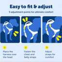 PetSafe Easy Walk Comfort No-Pull Dog Harness Full-Body Padding - Better Walks on the First Use - 5 Points of Adjustment Large, Black